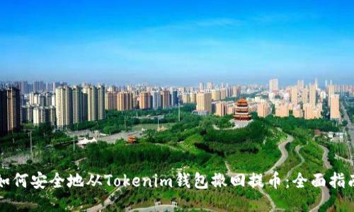 如何安全地从Tokenim钱包撤回提币：全面指南