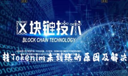 货币转Tokenim未到账的原因及解决方案