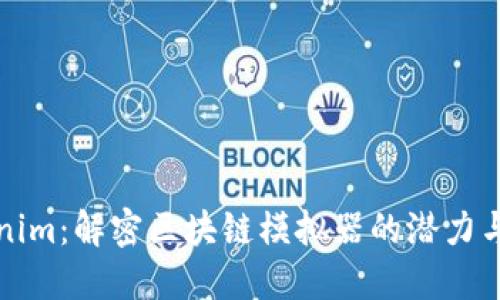 Tokenim：解密区块链模拟器的潜力与应用