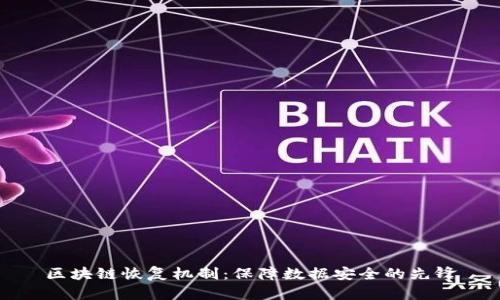 区块链恢复机制：保障数据安全的先锋