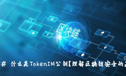 ### 什么是TokenIM公钥？理解区块链安全的基础